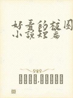 好看的校园言情小说短篇