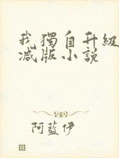 我独自升级无删减版小说