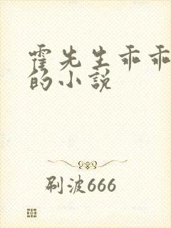 霍先生乖乖宠我的小说