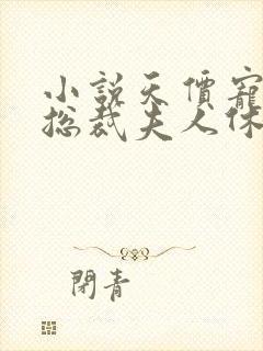 小说天价宠妻:总裁夫人休想逃