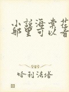 小说海棠花未眠那里可以看