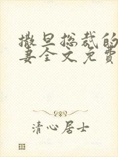 撒旦总裁的下堂妻全文免费阅读