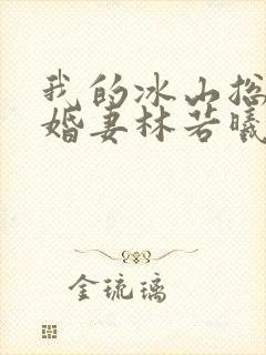 我的冰山总裁未婚妻林若曦