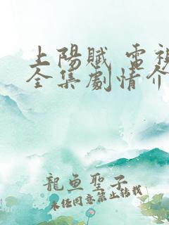 上阳赋 电视剧全集剧情介绍