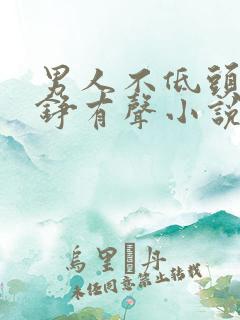 男人不低头王子铮有声小说