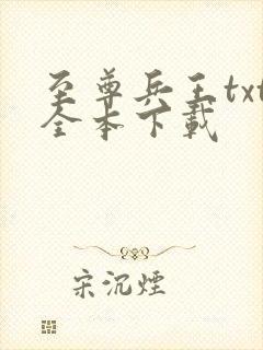 至尊兵王txt全本下载