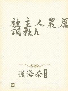 被主人严厉惩罚调教h