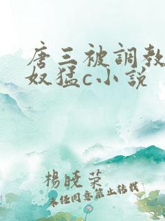 唐三被调教成肉奴猛c小说