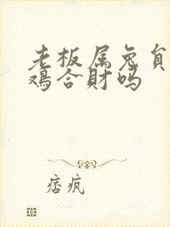 老板属兔员工属鸡合财吗