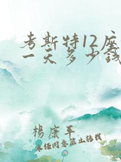考斯特12座租一天多少钱