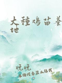 大种鸡苗养殖基地