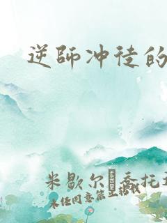 逆师冲徒的小说