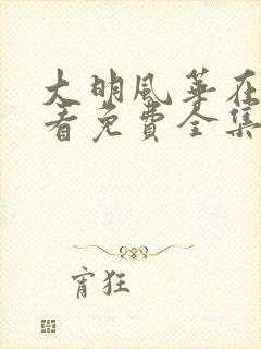 大明风华在线观看免费全集完整版