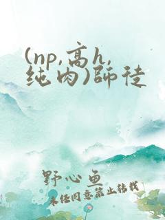 (np,高h,纯肉)师徒