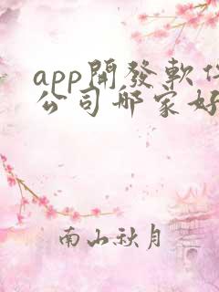 app开发软件公司哪家好