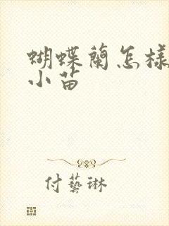 蝴蝶兰怎样繁殖小苗