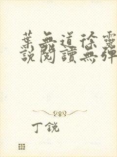 叶无道徐灵儿小说阅读无弹窗