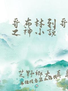 哥布林到哥布林之神小说