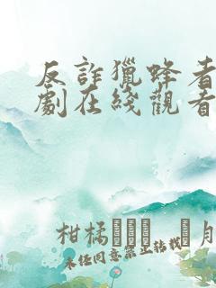 反诈猎蜂者电视剧在线观看免费