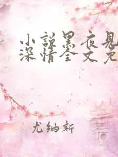 小说黑夜见过他深情全文免费阅读