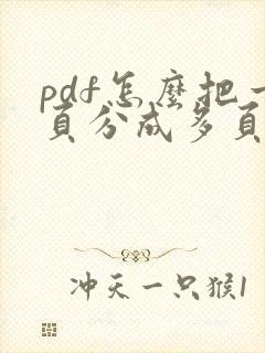 pdf怎么把一页分成多页打印