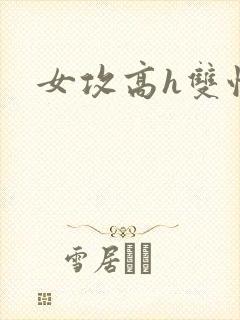 女攻高h双性