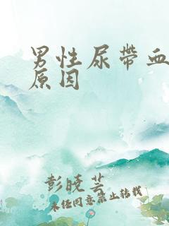 男性尿带血什么原因