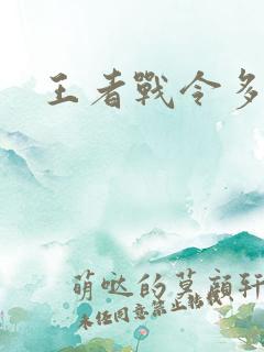 王者战令多少钱