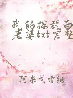 我的总裁白富美老婆txt完整无错版