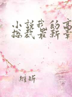 小说我的高冷女总裁最新章节