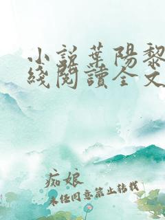 小说叶阳黎洁在线阅读全文