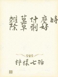 杂草什么时候打除草剂好
