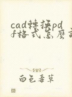 cad转换pdf格式怎么调整页面边距