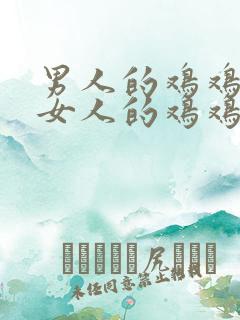 男人的鸡鸡插入女人的鸡鸡.
