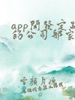 app开发定制的公司那家好