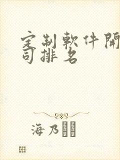 定制软件开发公司排名