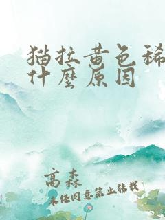 猫拉黄色稀便是什么原因