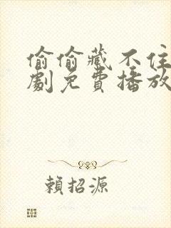 偷偷藏不住电视剧免费播放全集