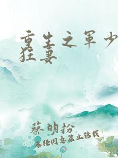 重生之军少枭宠狂妻