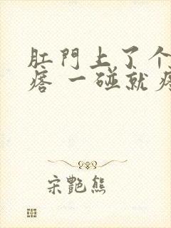 肛门上了个硬疙瘩 一碰就疼
