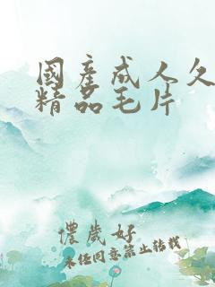 国产成人久久久精品毛片