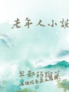 老年人小说