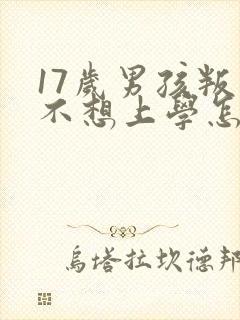 17岁男孩叛逆不想上学怎么办