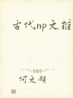 古代np文推荐