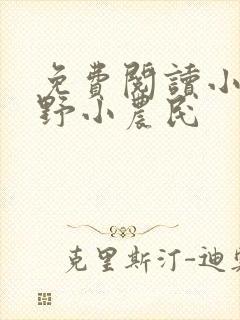 免费阅读小说山野小农民