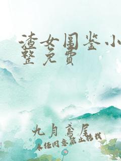 渣女图鉴小说完整免费