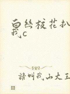 白丝校花扒开让我c