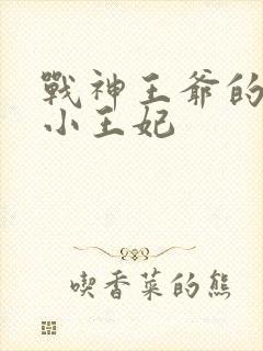 战神王爷的调皮小王妃