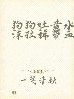 狗狗吐黄水带泡沫拉稀带血