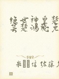 绝世神皇楚风楚芸楚鸿飞免费阅读